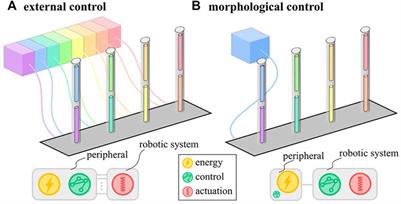 Morphological Control of Cilia-Inspired Asymmetric Movements Using Nonlinear Soft Inflatable Actuators